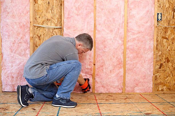 Best Eco-Friendly Insulation in Freeburg, IL